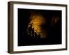 Mammoth Cave National Park, Kentucky, USA-Anna Miller-Framed Photographic Print