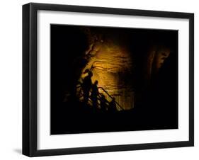 Mammoth Cave National Park, Kentucky, USA-Anna Miller-Framed Photographic Print