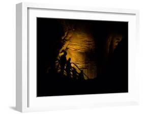 Mammoth Cave National Park, Kentucky, USA-Anna Miller-Framed Photographic Print