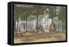 Mammoth Cave Souvenir Shop-null-Framed Stretched Canvas