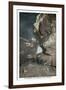 Mammoth Cave, Star Chamber-null-Framed Art Print