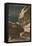 Mammoth Cave, Star Chamber-null-Framed Stretched Canvas