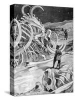 Mammoth Graveyard Alaska 1897-Chris Hellier-Stretched Canvas