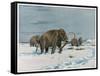 Mammoth Herd During the Ice Age-Wilhelm Kuhnert-Framed Stretched Canvas