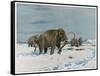 Mammoth Herd During the Ice Age-Wilhelm Kuhnert-Framed Stretched Canvas