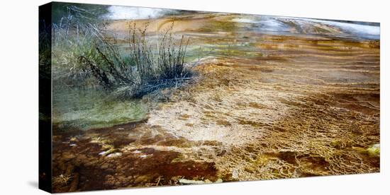 Mammoth Hot Springs in Yellowstone National Park-Philip Bird-Stretched Canvas