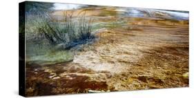 Mammoth Hot Springs in Yellowstone National Park-Philip Bird-Stretched Canvas