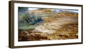 Mammoth Hot Springs in Yellowstone National Park-Philip Bird-Framed Photographic Print