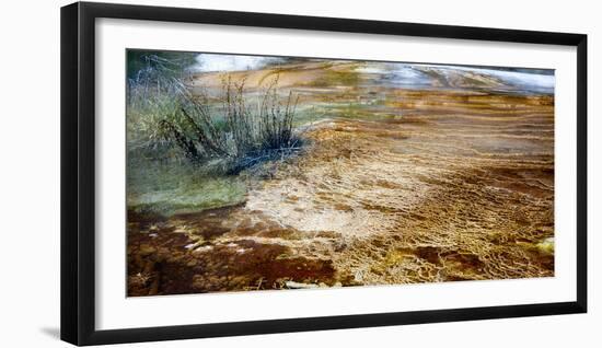 Mammoth Hot Springs in Yellowstone National Park-Philip Bird-Framed Photographic Print