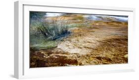 Mammoth Hot Springs in Yellowstone National Park-Philip Bird-Framed Photographic Print