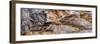 Mammoth Hot Springs Terraces Yellowstone-Steve Gadomski-Framed Photographic Print