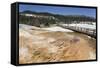 Mammoth Hot Springs, Yellowstone National Parkwyoming, United States of America, North  America-Richard Maschmeyer-Framed Stretched Canvas