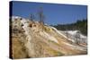 Mammoth Hot Springs, Yellowstone National Parkwyoming, United States of America, North  America-Richard Maschmeyer-Stretched Canvas