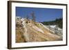 Mammoth Hot Springs, Yellowstone National Parkwyoming, United States of America, North  America-Richard Maschmeyer-Framed Photographic Print