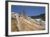 Mammoth Hot Springs, Yellowstone National Parkwyoming, United States of America, North  America-Richard Maschmeyer-Framed Photographic Print