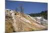 Mammoth Hot Springs, Yellowstone National Parkwyoming, United States of America, North  America-Richard Maschmeyer-Mounted Photographic Print