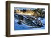 Mammoth Hot Springs-demerzel21-Framed Photographic Print