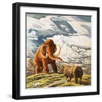 Mammoth Meets Rhinocerous-Tansley-Framed Giclee Print