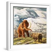 Mammoth Meets Rhinocerous-Tansley-Framed Giclee Print