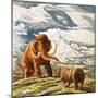 Mammoth Meets Rhinocerous-Tansley-Mounted Giclee Print