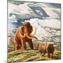 Mammoth Meets Rhinocerous-Tansley-Mounted Giclee Print