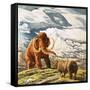 Mammoth Meets Rhinocerous-Tansley-Framed Stretched Canvas