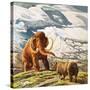 Mammoth Meets Rhinocerous-Tansley-Stretched Canvas