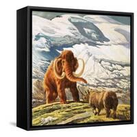 Mammoth Meets Rhinocerous-Tansley-Framed Stretched Canvas