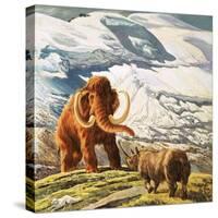 Mammoth Meets Rhinocerous-Tansley-Stretched Canvas