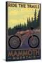 Mammoth Mountain, California - Mountain Bike Scene - Ride the Trails-Lantern Press-Stretched Canvas