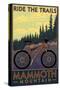 Mammoth Mountain, California - Mountain Bike Scene - Ride the Trails-Lantern Press-Stretched Canvas