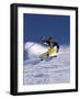 Mammoth Mountain California USA-null-Framed Photographic Print