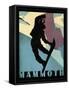 Mammoth Mountain Winter Sports I-Tina Lavoie-Framed Stretched Canvas