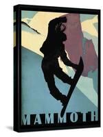 Mammoth Mountain Winter Sports I-Tina Lavoie-Stretched Canvas