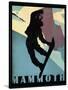 Mammoth Mountain Winter Sports I-Tina Lavoie-Stretched Canvas