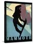 Mammoth Mountain Winter Sports I-Tina Lavoie-Stretched Canvas