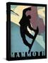 Mammoth Mountain Winter Sports II-Tina Lavoie-Stretched Canvas