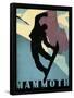 Mammoth Mountain Winter Sports II-Tina Lavoie-Framed Stretched Canvas