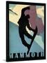 Mammoth Mountain Winter Sports II-Tina Lavoie-Stretched Canvas