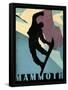 Mammoth Mountain Winter Sports II-Tina Lavoie-Framed Stretched Canvas