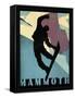 Mammoth Mountain Winter Sports II-Tina Lavoie-Framed Stretched Canvas