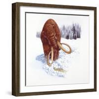 Mammoth Searching for Food in Snow-null-Framed Giclee Print