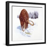 Mammoth Searching for Food in Snow-null-Framed Giclee Print