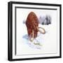 Mammoth Searching for Food in Snow-null-Framed Giclee Print