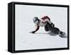 Mammoth Ski Area, California, USA-null-Framed Stretched Canvas