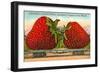 Mammoth Strawberry on Traincar, Oxnard, California-null-Framed Art Print