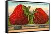 Mammoth Strawberry on Traincar, Oxnard, California-null-Framed Stretched Canvas