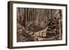 Mammoth Tree 'The Father of The Forest'-Bohuslav Kroupa-Framed Giclee Print