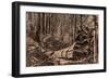 Mammoth Tree 'The Father of The Forest'-Bohuslav Kroupa-Framed Giclee Print