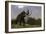 Mammoth Walking in Nature by Day-Stocktrek Images-Framed Premium Giclee Print